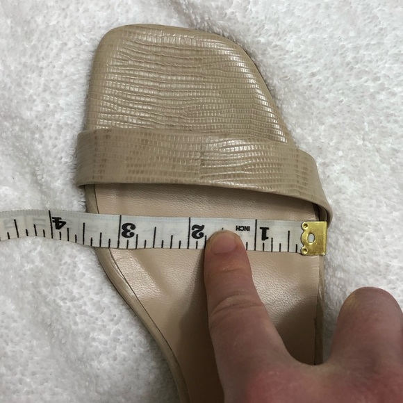 Everlane The Double-Strap Block Heel Sandal Sand Lizard 10.5 - Picture 9 of 10